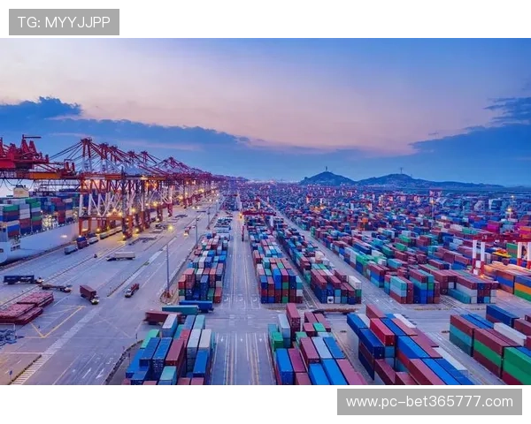 12bet官网中文平台的历史背景与未来发展方向分析